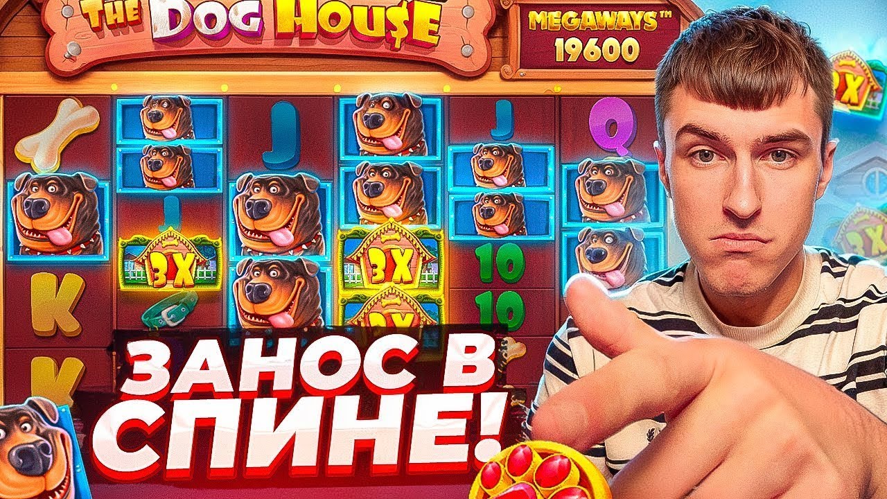 СЛОВИЛ МЕГА ЗАНОС В СПИНЕ В THE DOG HOUSE MEGAWAYS ПО ????Р / ЧТО ТВОРЯТ СОБАКИ??? ( ЗАНОСЫ НЕДЕЛИ )
