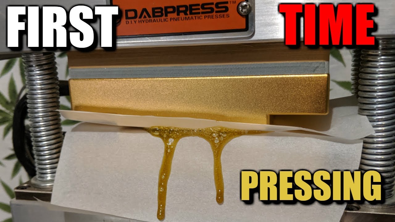 First Time Rosin Pressing With DABPRESS