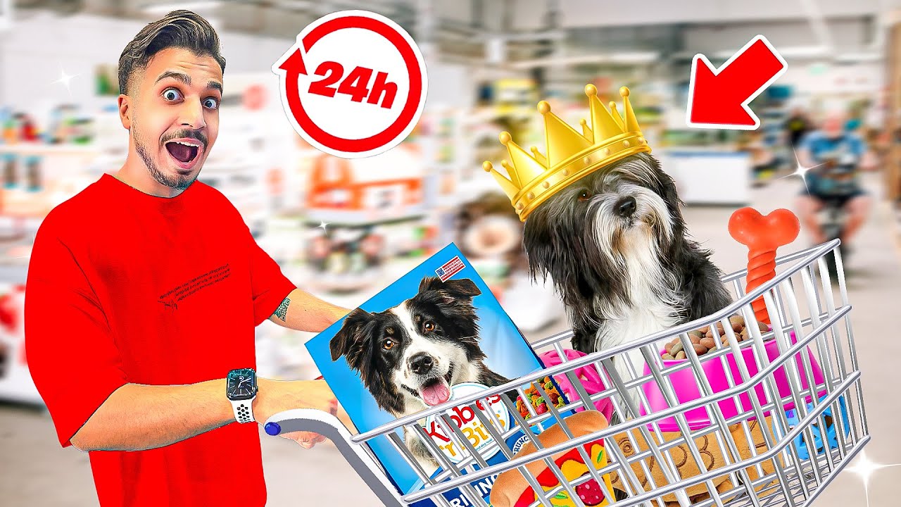 24 ساعت هر کاری سگم دوست داره انجام میدم 😇