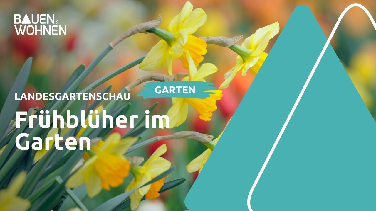 Gartenideen - Landesgartenschau 2024 in Wangen I BAUEN & WOHNEN