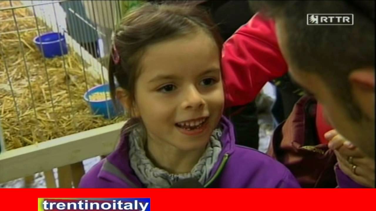 bambini & genitori terribili