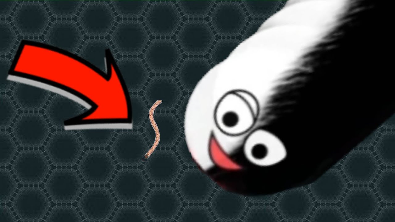 Wormate.io AVOID THIS PLAYER AT ALL COSTS!