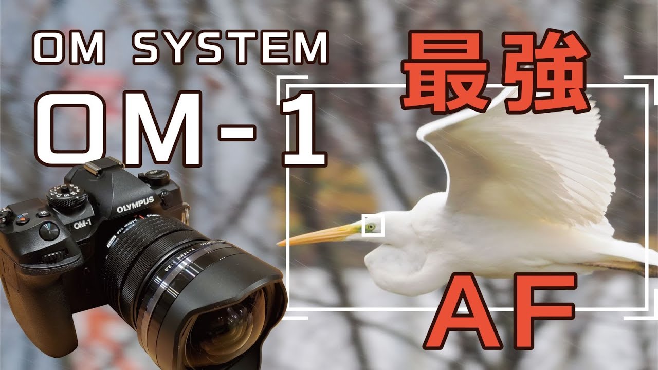 OM SYSTEM OM 1被写体認識AF鳥キャプチャー動画