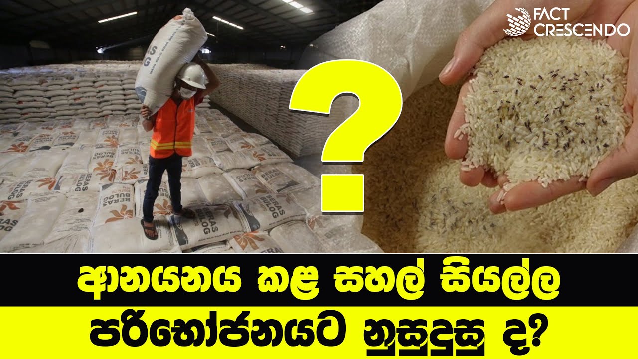 ආනයනය කළ සහල් සියල්ල පරිභෝජනයට නුසුදුසු ද? | Factcrescendo Sri Lanka