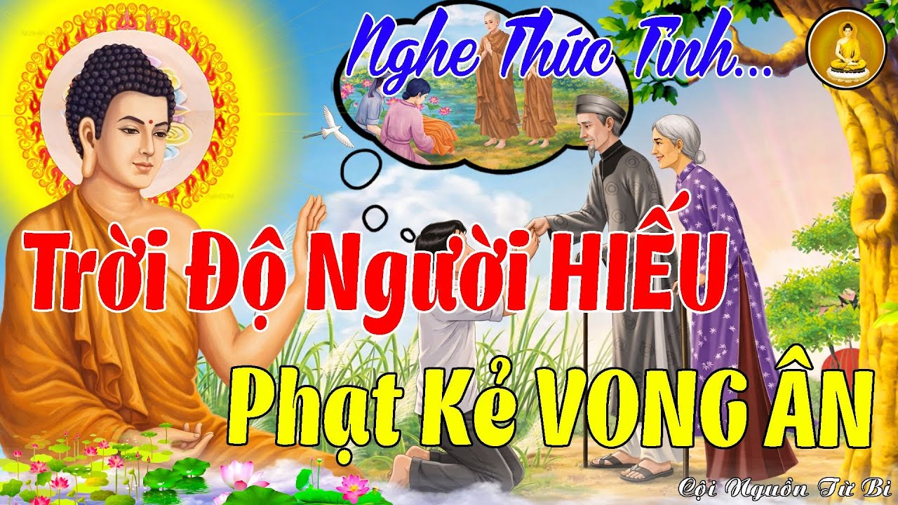 Nghe Để Thức Tỉnh: Trời ĐỘ Người HIẾU - Phạt Kẻ VONG ÂN _ Đừng Bao Giờ Hoài Nghi Nhân Quả