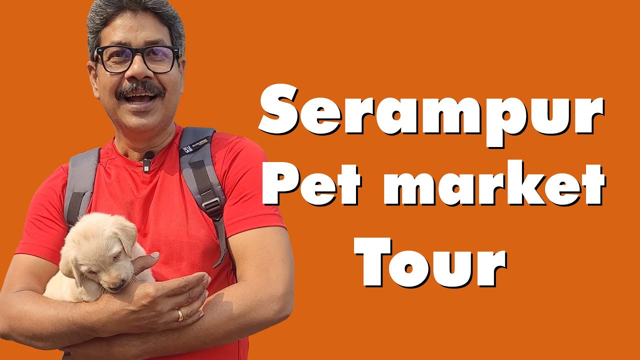 Exploring Serampur Pet Market 🐕Serampore Dog Market 2026🐱Latest Collection and Price Range🐶