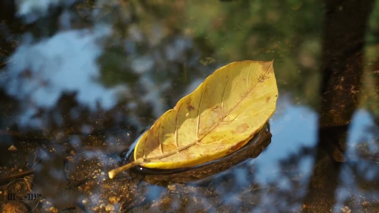 Relaxing Piano Music Stress Relief and Healing | RELX