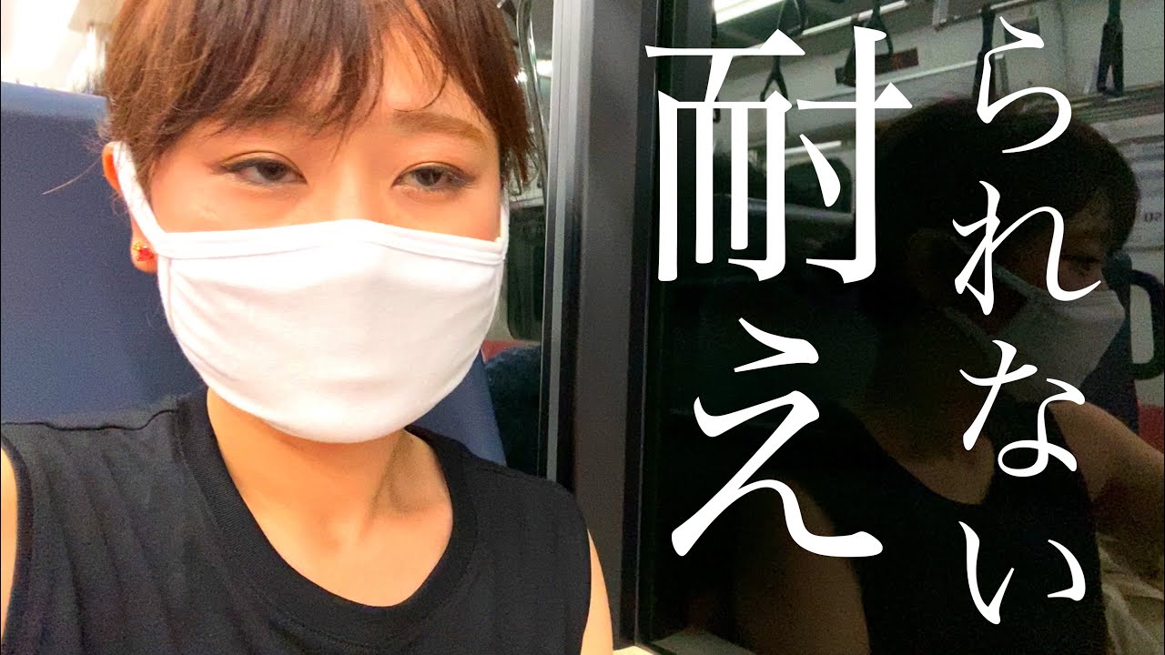 【無事○亡】上越線トンネルループに放心