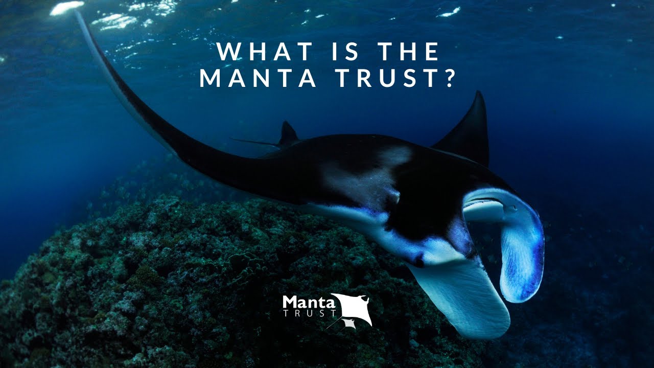 Manta Trust Introduction