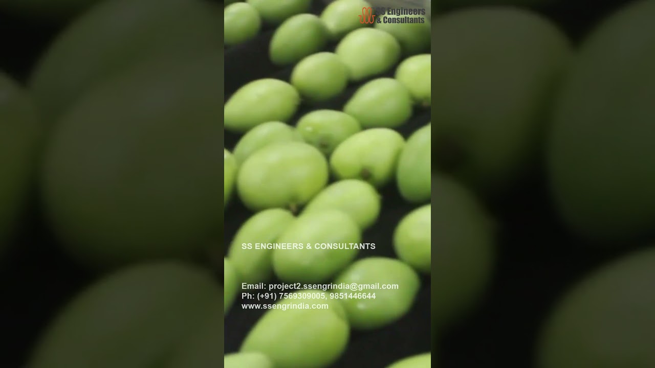 Mango Washing & Grading Line #shorts #viral #mango #washing #grading #ssengrindia