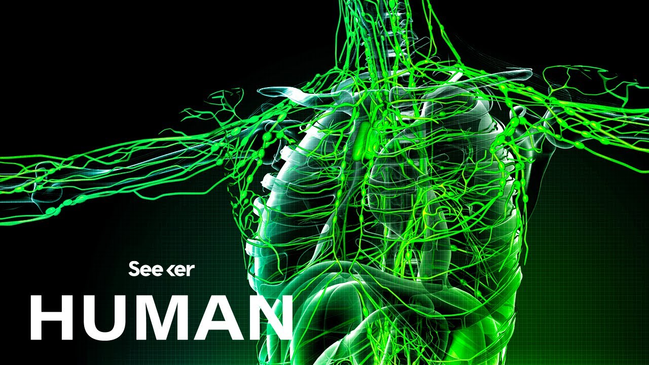 Why Do Lymph Nodes Swell Up When You're Sick?