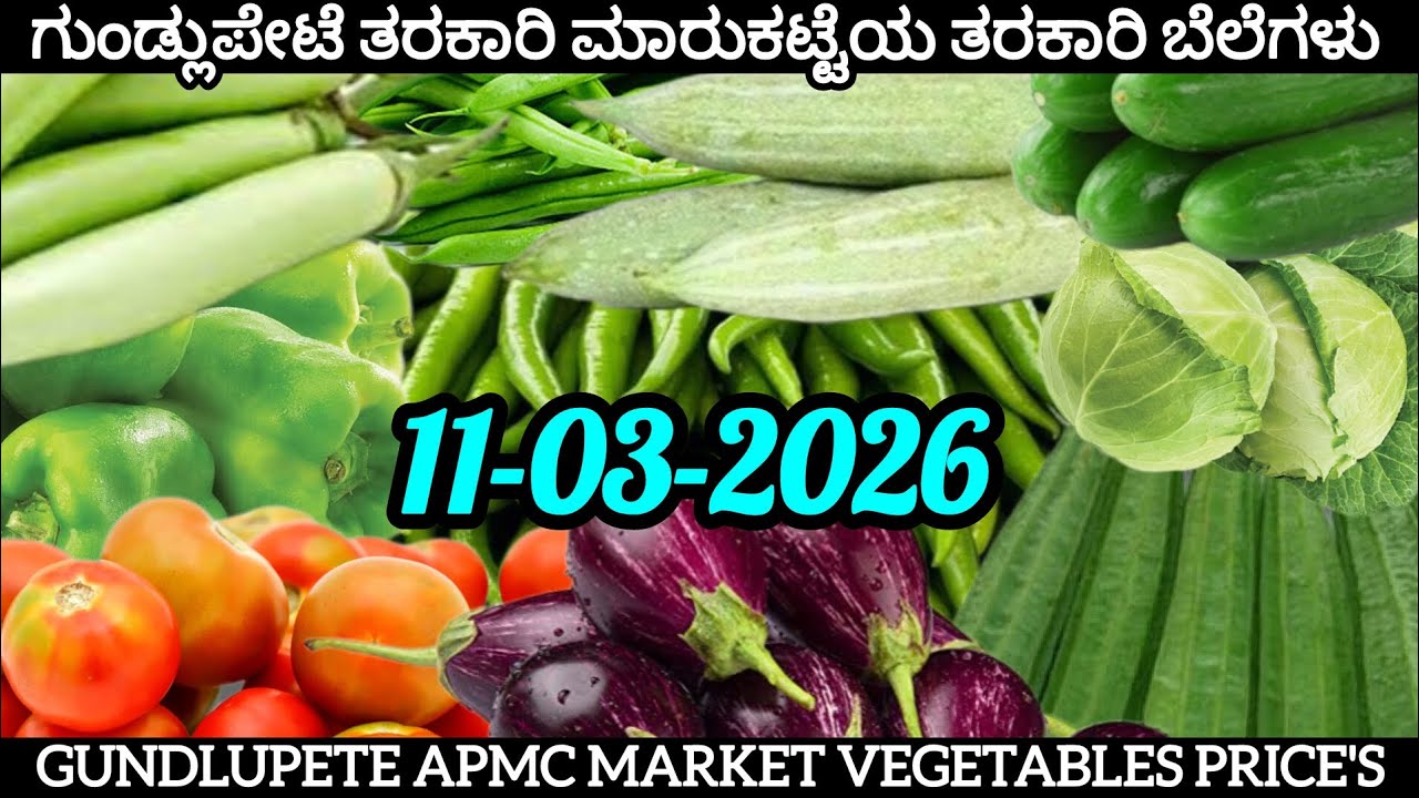 Цены на овощи на овощном рынке Гундлупете сегодня, 11.03.2026 #gundlupete #apmc #mysore #vegetables