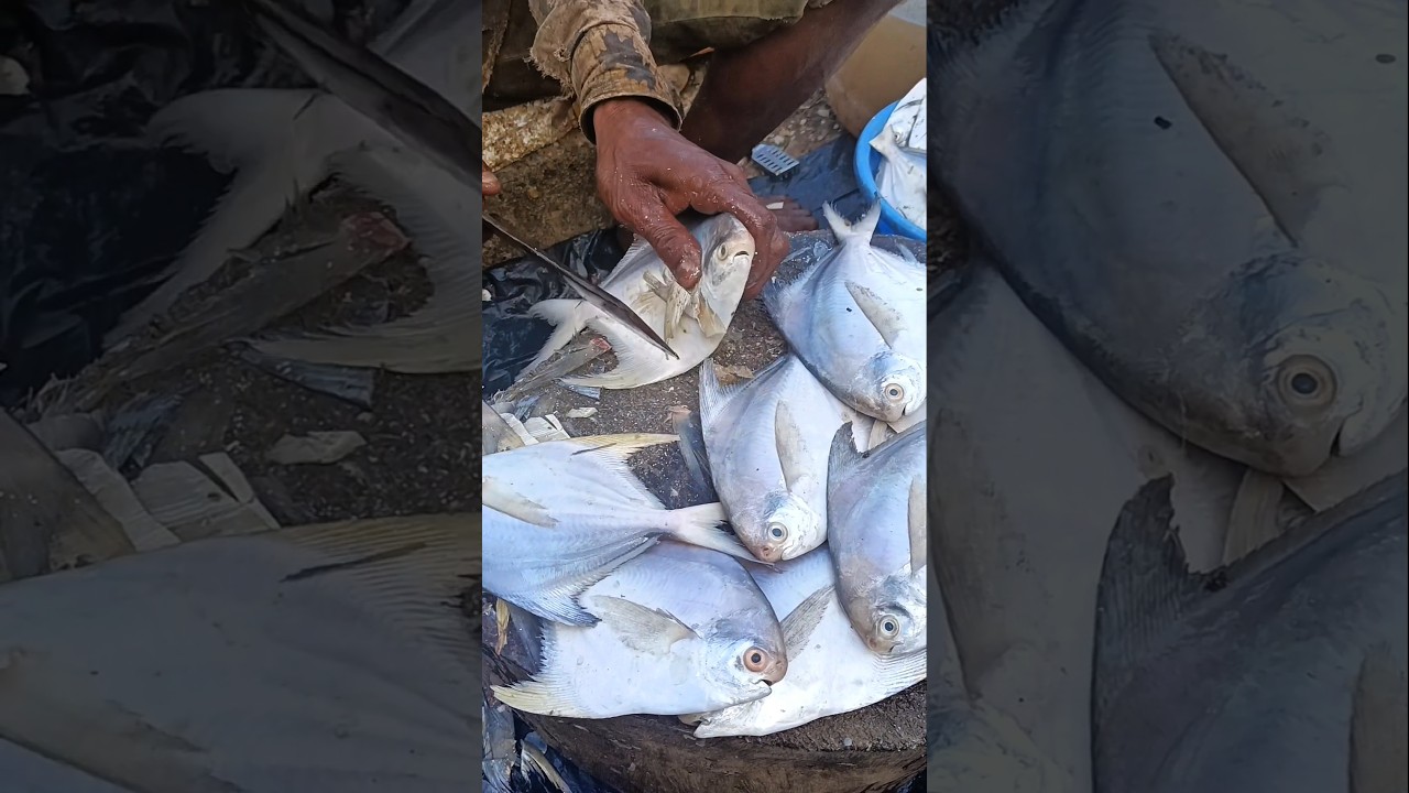 Most Delicious Pomfret Fish #shorts #seafood