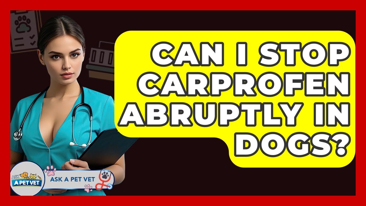 Can I Stop Carprofen Abruptly In Dogs? - Ask A Pet Vet