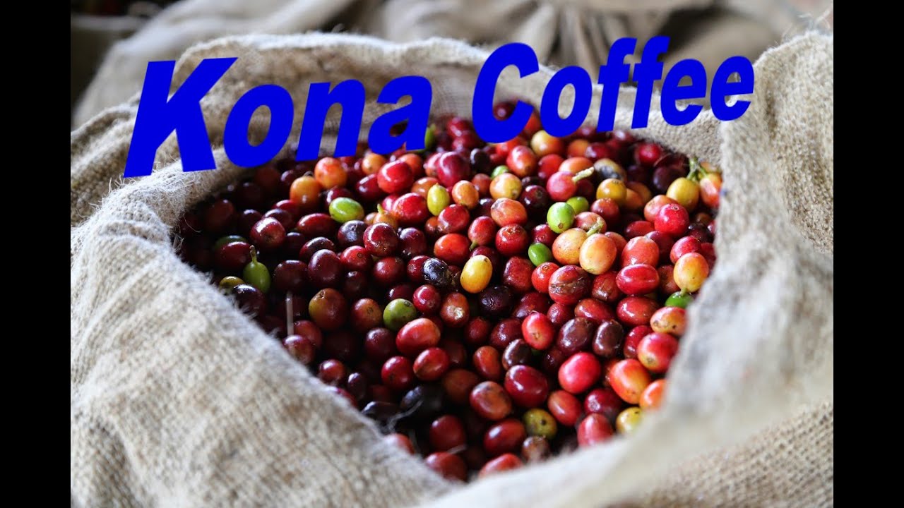Kona coffee, cultivated in Hawaii (Big Island)