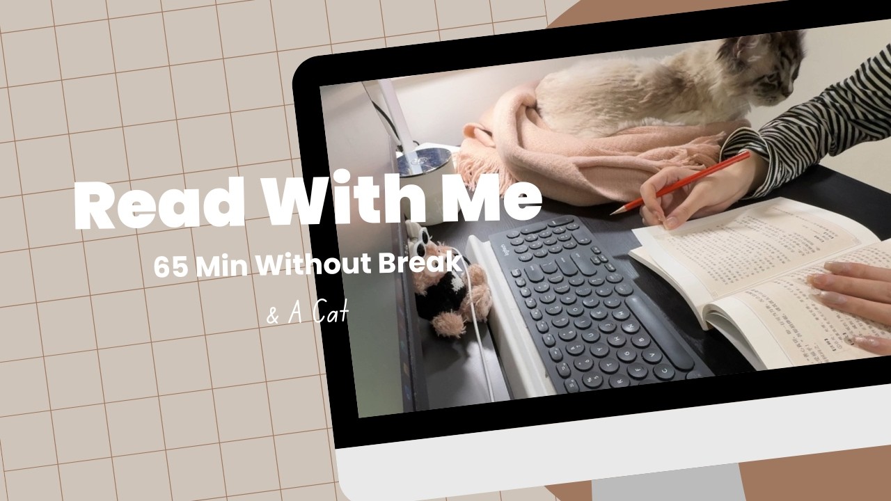 和我一起读书吧 | 65 Min Read With Me & A Cat 😸 |🔥Relaxing Fire Cracking | Without break | Timer