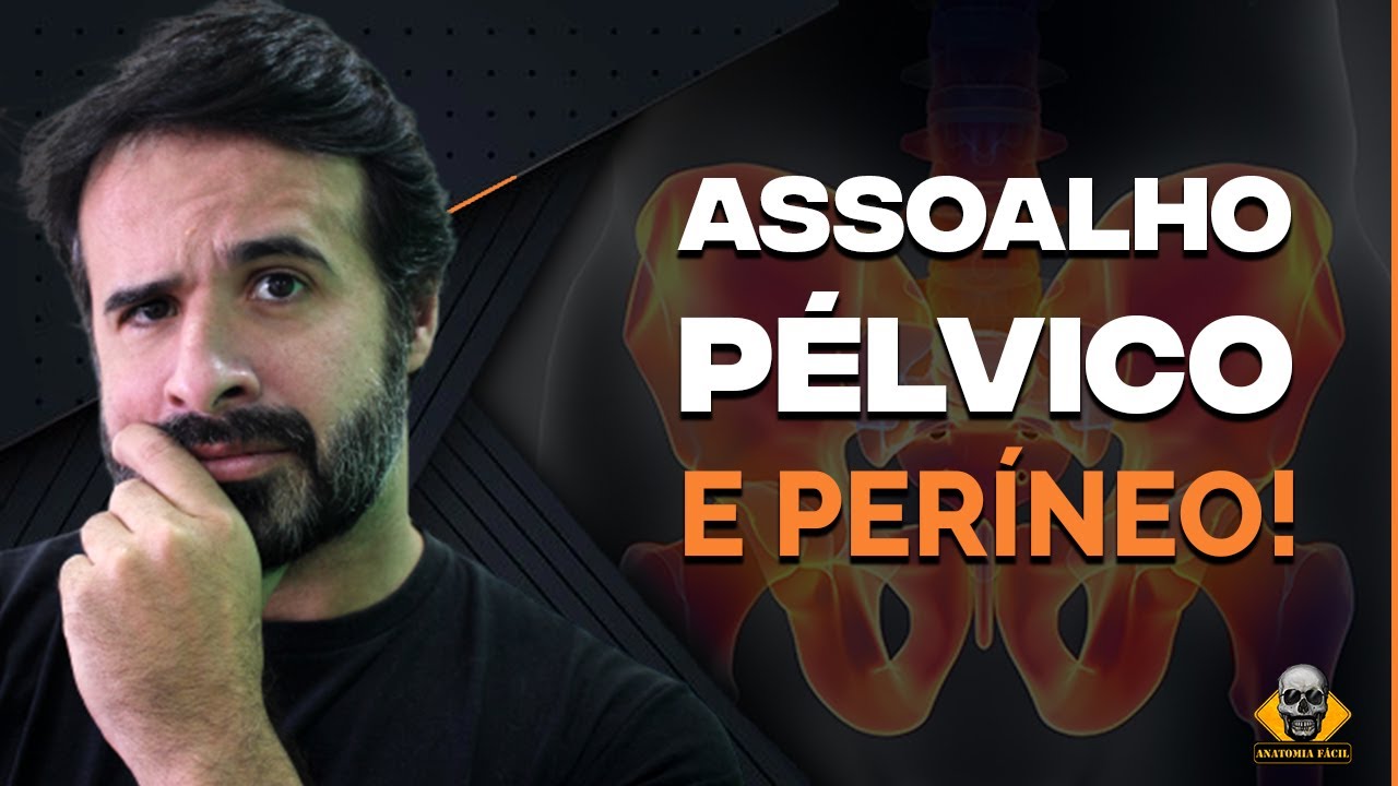 ASSOALHO PÉLVICO E PERÍNEO APRENDA DE UMA VEZ POR TODAS!