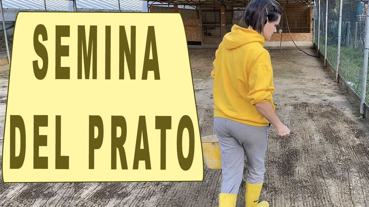 SEMINA del PRATO - tecnica e periodo ideale