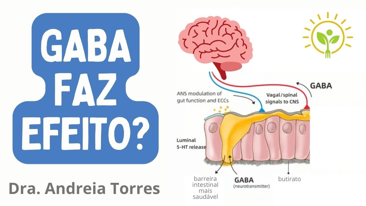 Para que serve a suplementação de GABA? | APRENDA NUTRIÇÃO