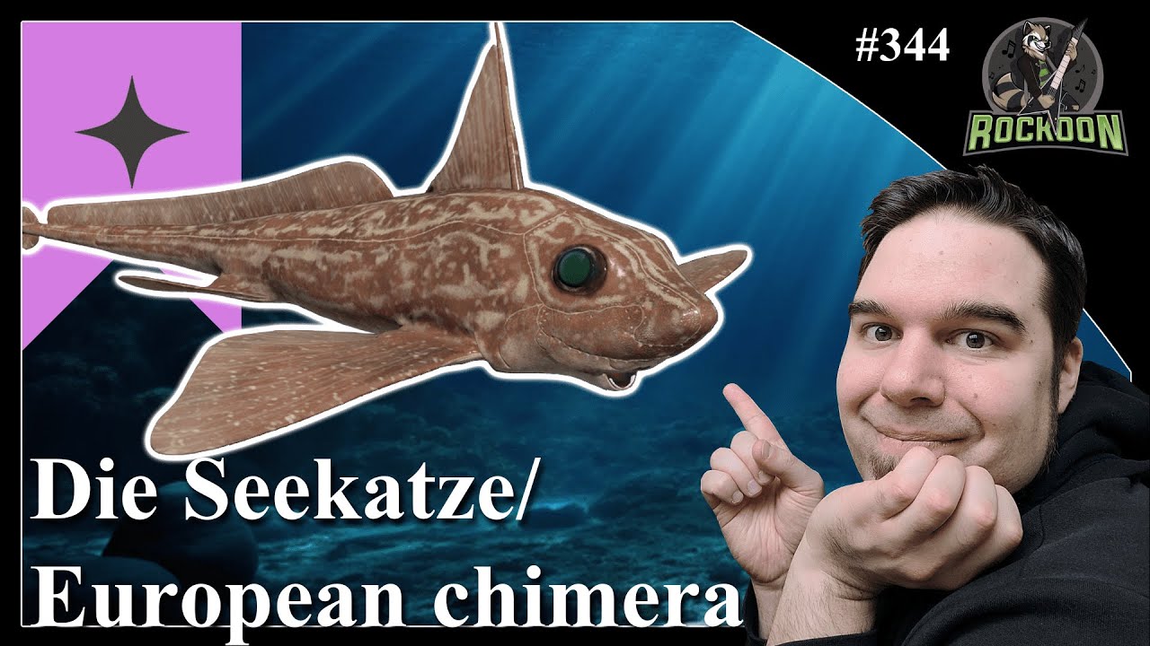 Die seltene Seekatze am Nordmeer - Hier kannst Du sie finden! | Russian Fishing 4 | #koontainment