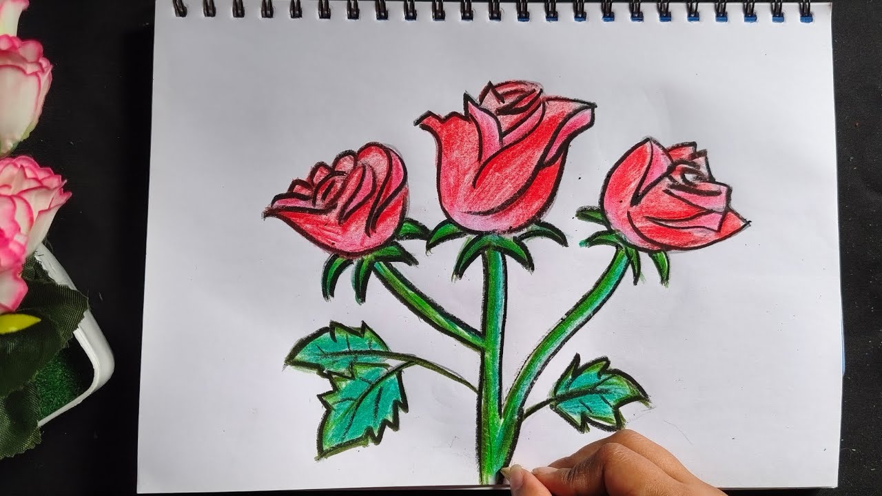 Beautiful Rose Sketch Step by Step🌹ll Beginner Friendly Pencil Drawing✨😉 #rosedrawing #drawing #art