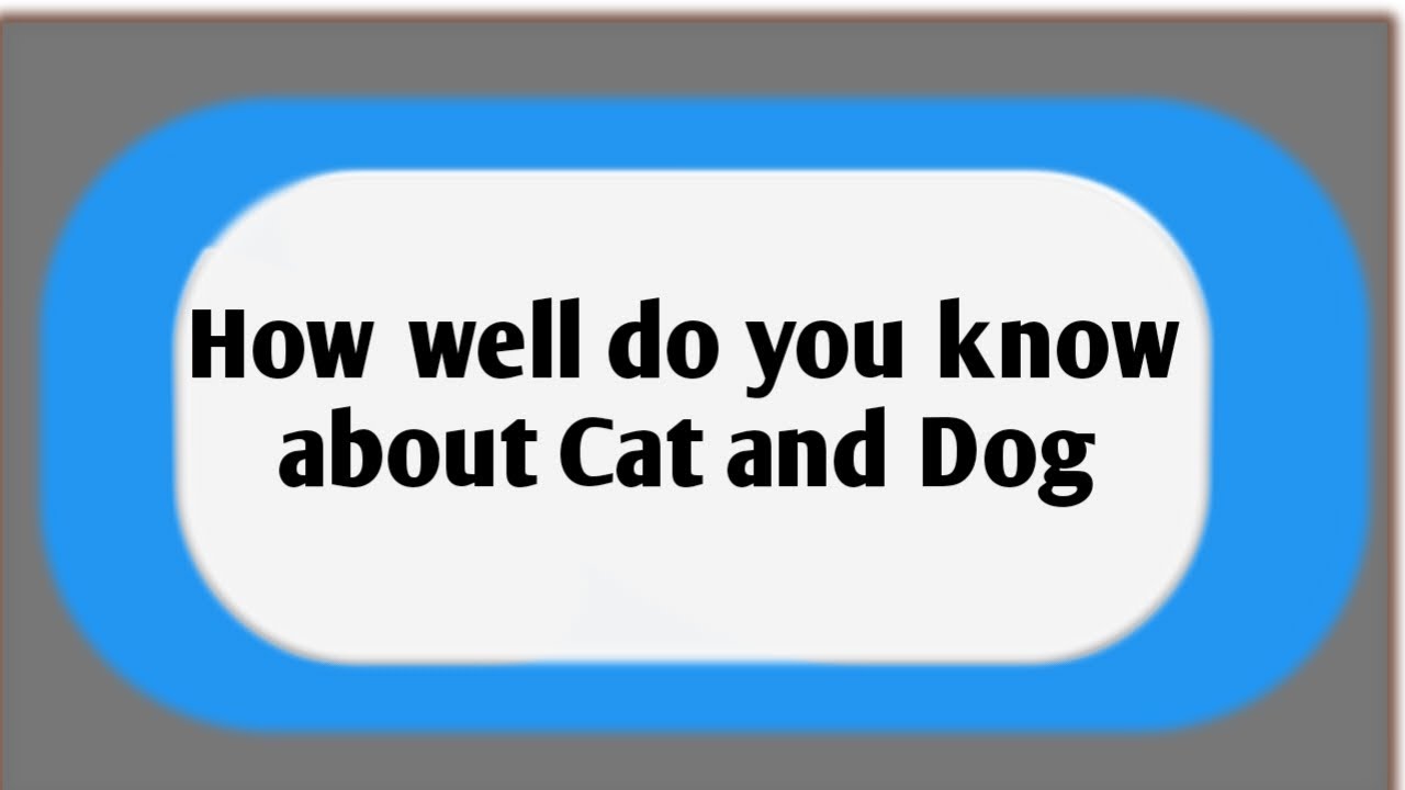 How well do you know about Cat 🐱 and 🐕?, Check your score! 😊.  #Catanddog