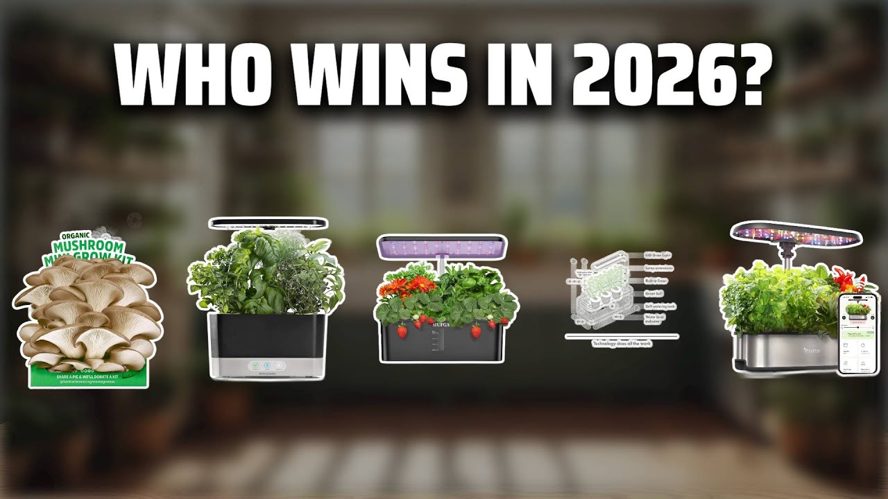 The Top 5 Best Aerogarden in 2026 - Must Watch Before Buying!