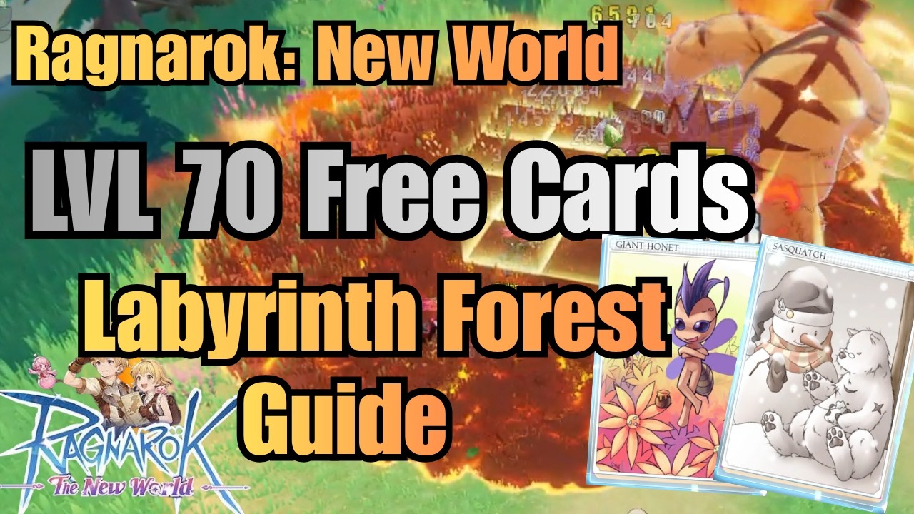 Ragnarok New World | LVL 70 Free Cards + Labyrinth Forest Guide  | Level 70 Dungeon Guide!
