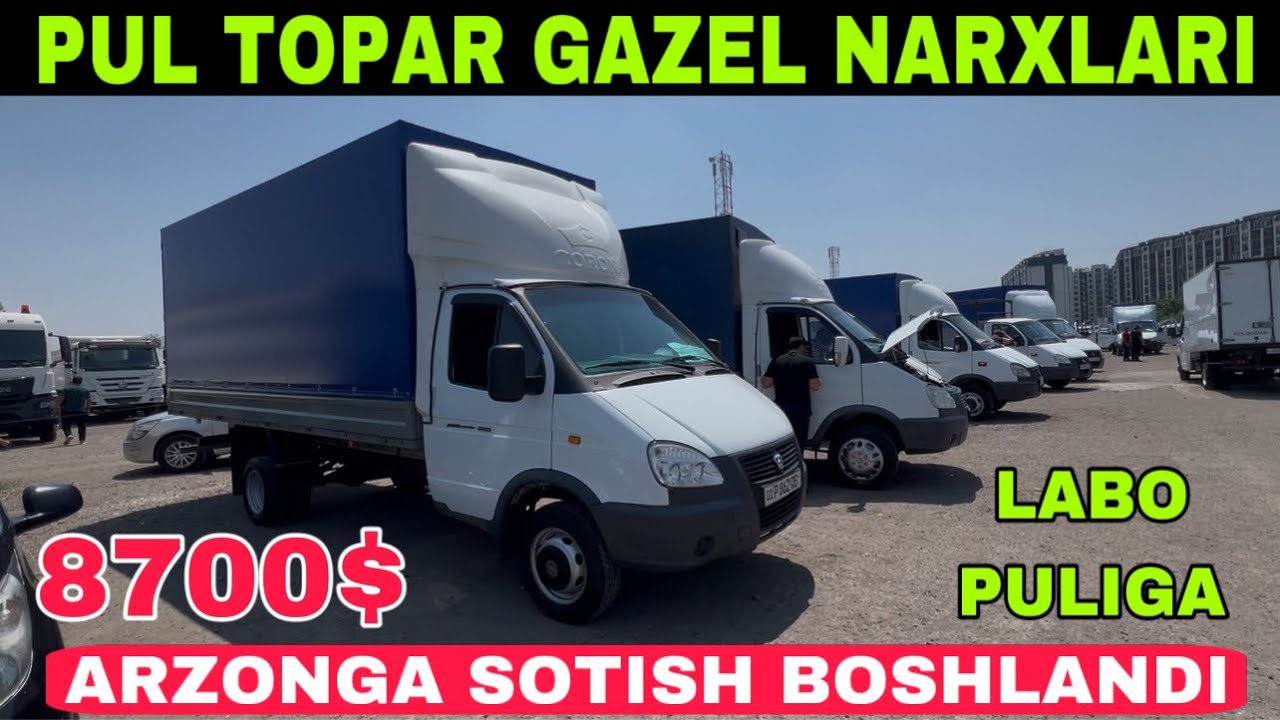PUL TOPAR GAZEL NARXLARI 2025 SERGELI MOSHINA BOZORI LABO PULIGA OLING.!!!