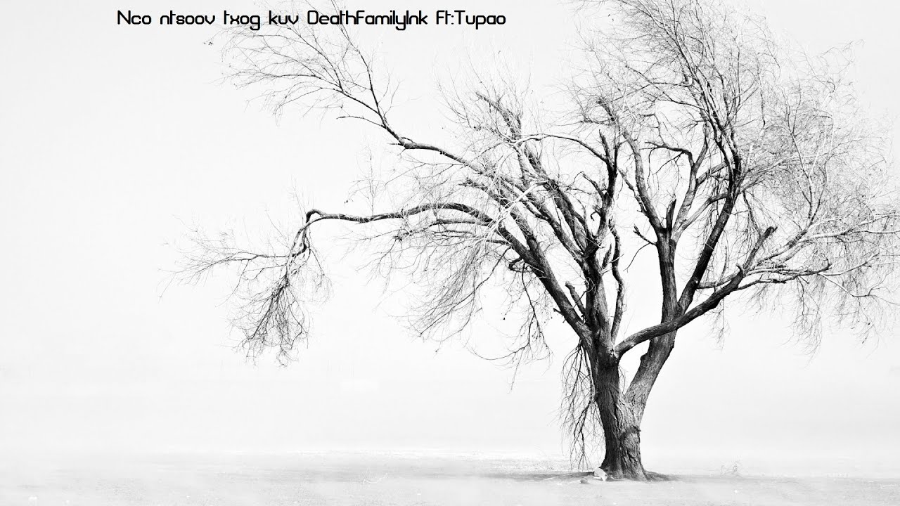 Hmong rap: Nco ntsoov txog kuv DeathFamilyInk Ft:Tupao