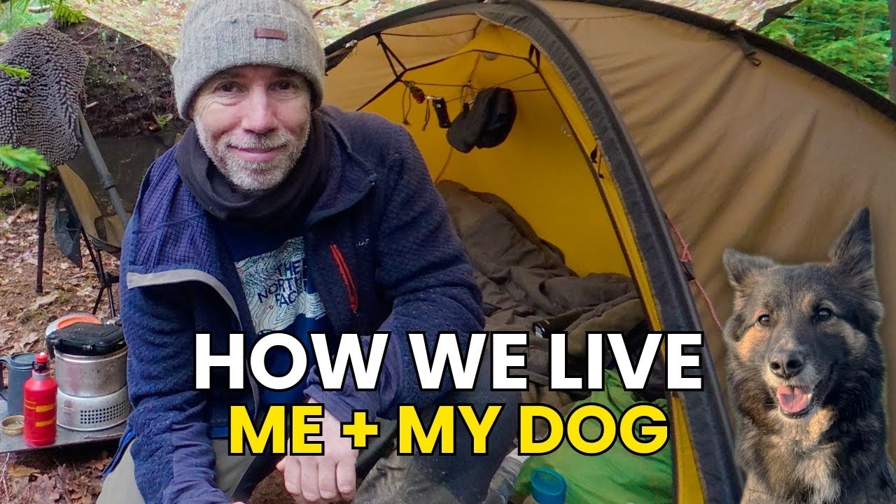 How I’m Living Out Here With My Dog | Winter Nomad Setup