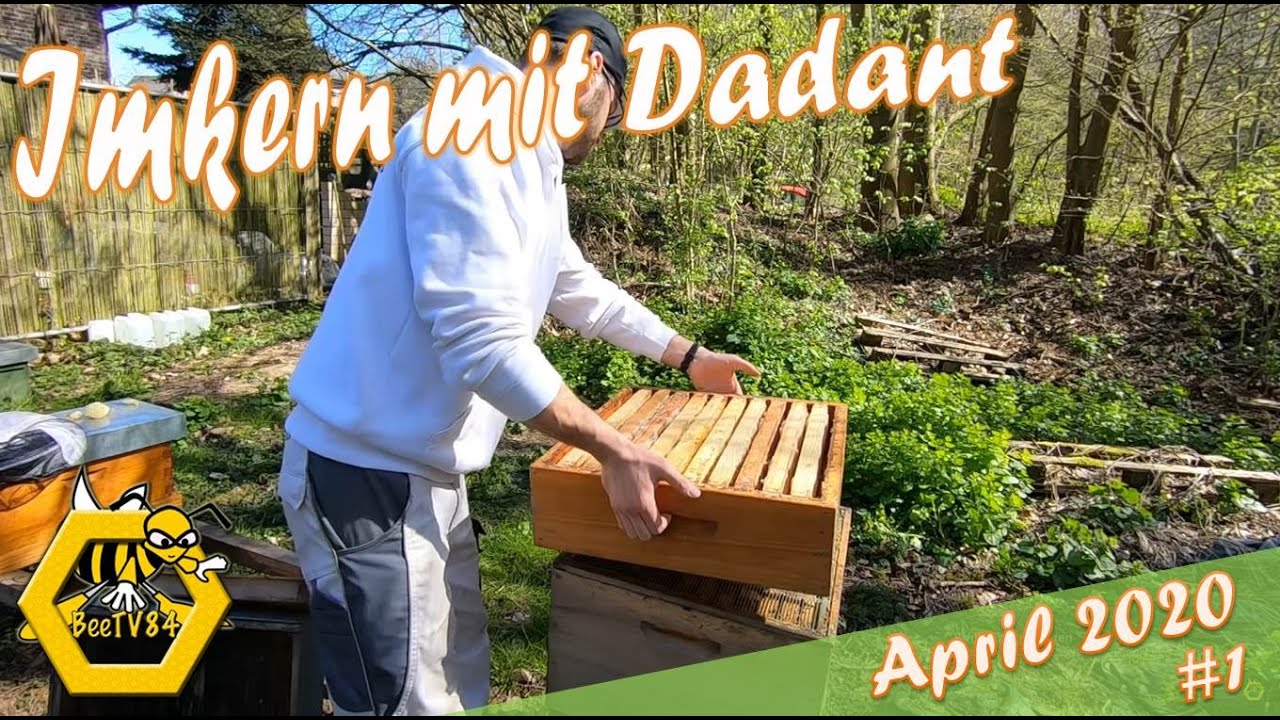 April 2020 - Der erster Honigraum ! - angepasster Brutraum - Imkern mit Dadant