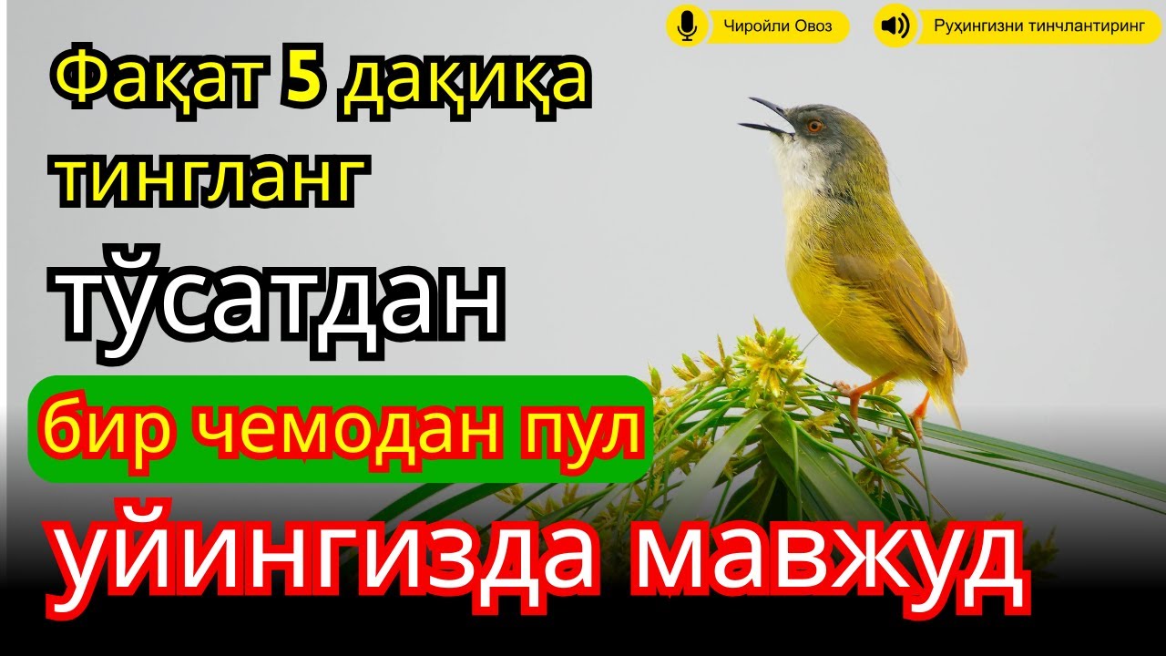 🔴ЭНГ КУЧЛИ РИЗҚ ДУОСИ БУ ДУОНИ ЎҚИНГ! КЎЗ ОЧИБ ЮМГУНЧА РИЗҚИНГИЗ КЕЛАДИ