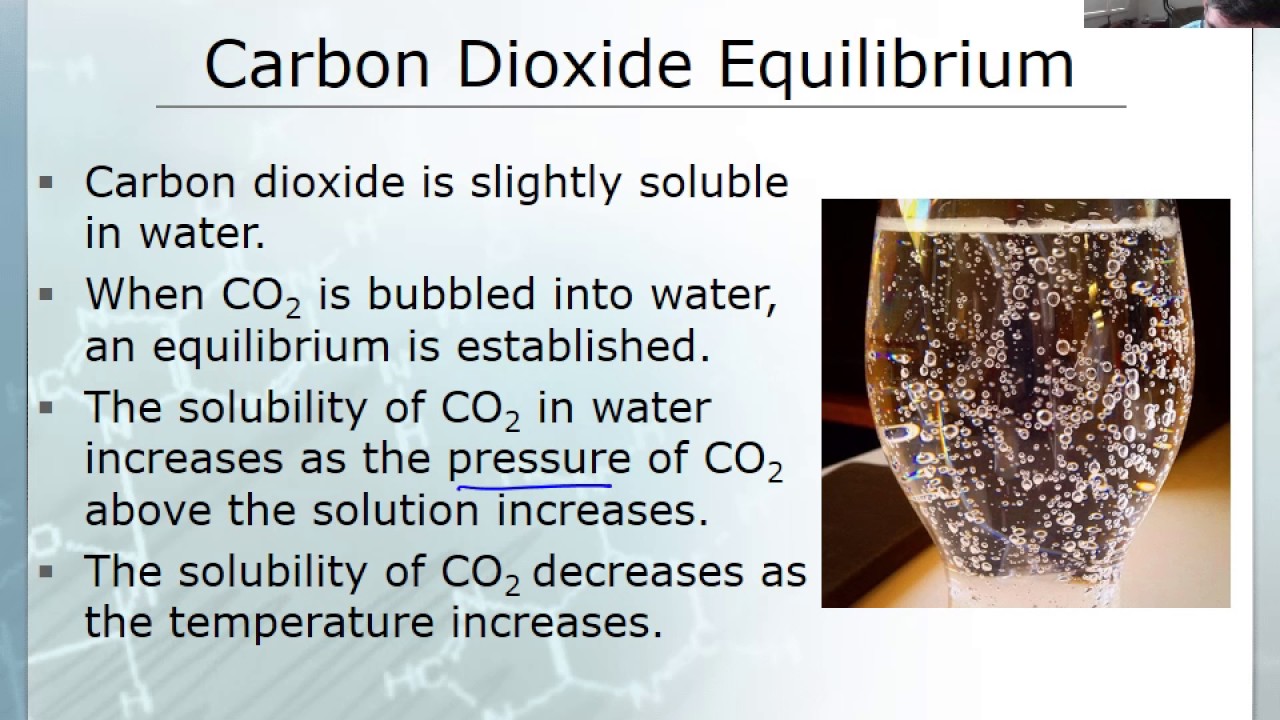 AE#10 CO2 solubility