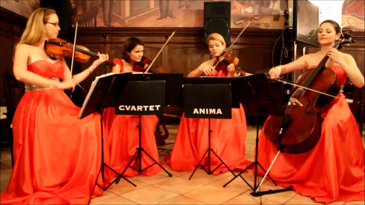 Cvartet Anima - Love is in the air