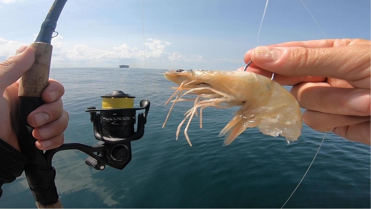 WRECK FISHING WITH SHRIMP FOR FLOUNDER, TRIGGERS, and Sea Bass (HOW TO + TUTORIAL)
