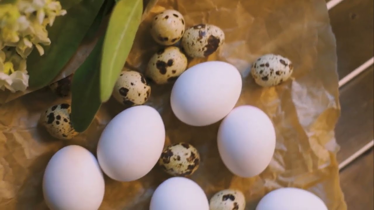 Ducks vs Chickens: The Ultimate Profit Showdown!