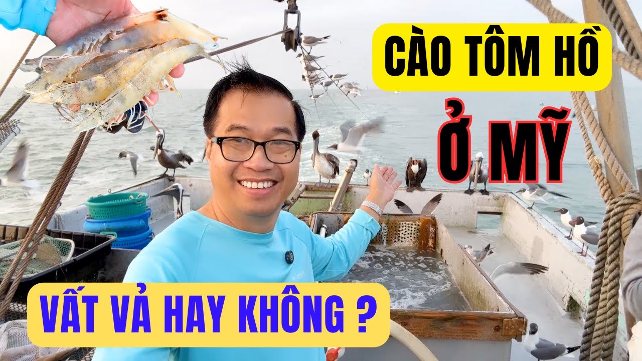 Nghề Cào Tôm Hồ Ở Mỹ Có Vất Vả Không?