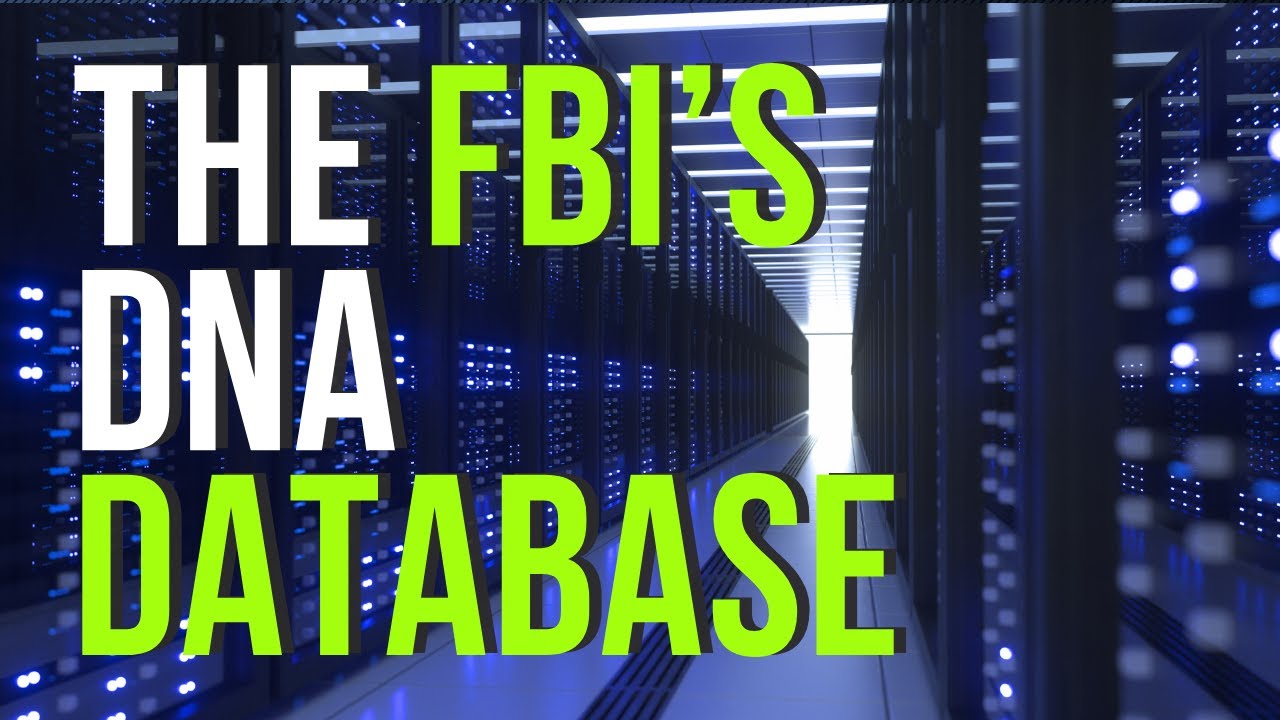 Unveiling the FBI's DNA Database: How Big Data Connects Crimes with Forensic Science