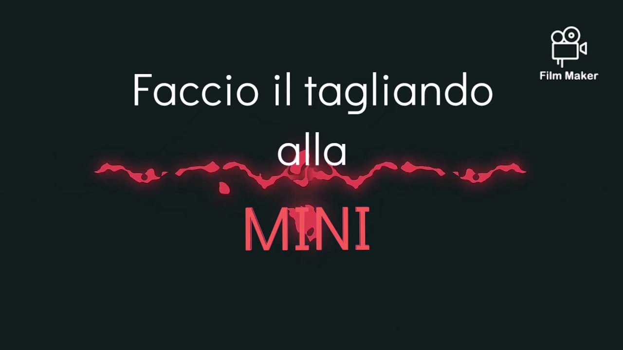 Tagliando mini R52