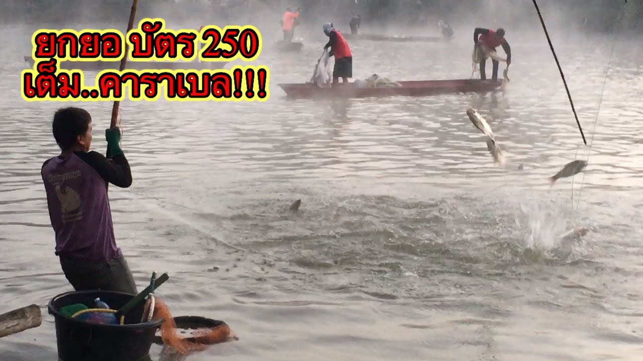 Fishing ยกยอ หาปลา บัตร250 บ้านร่องห้า เวียงชัย เชียงราย EP.14