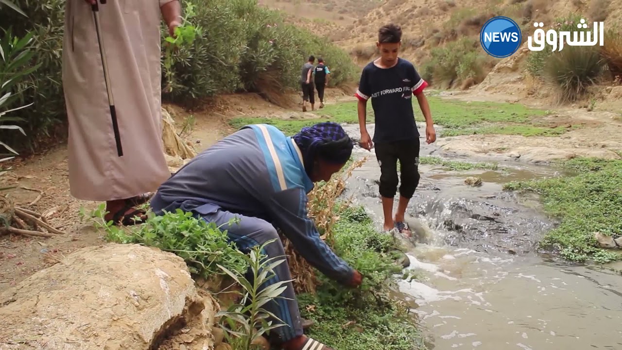 #غليزان: المنبع المائي الكبريتي والطاحونة القديمة وجهة علاجية وسياحية للقلعيين