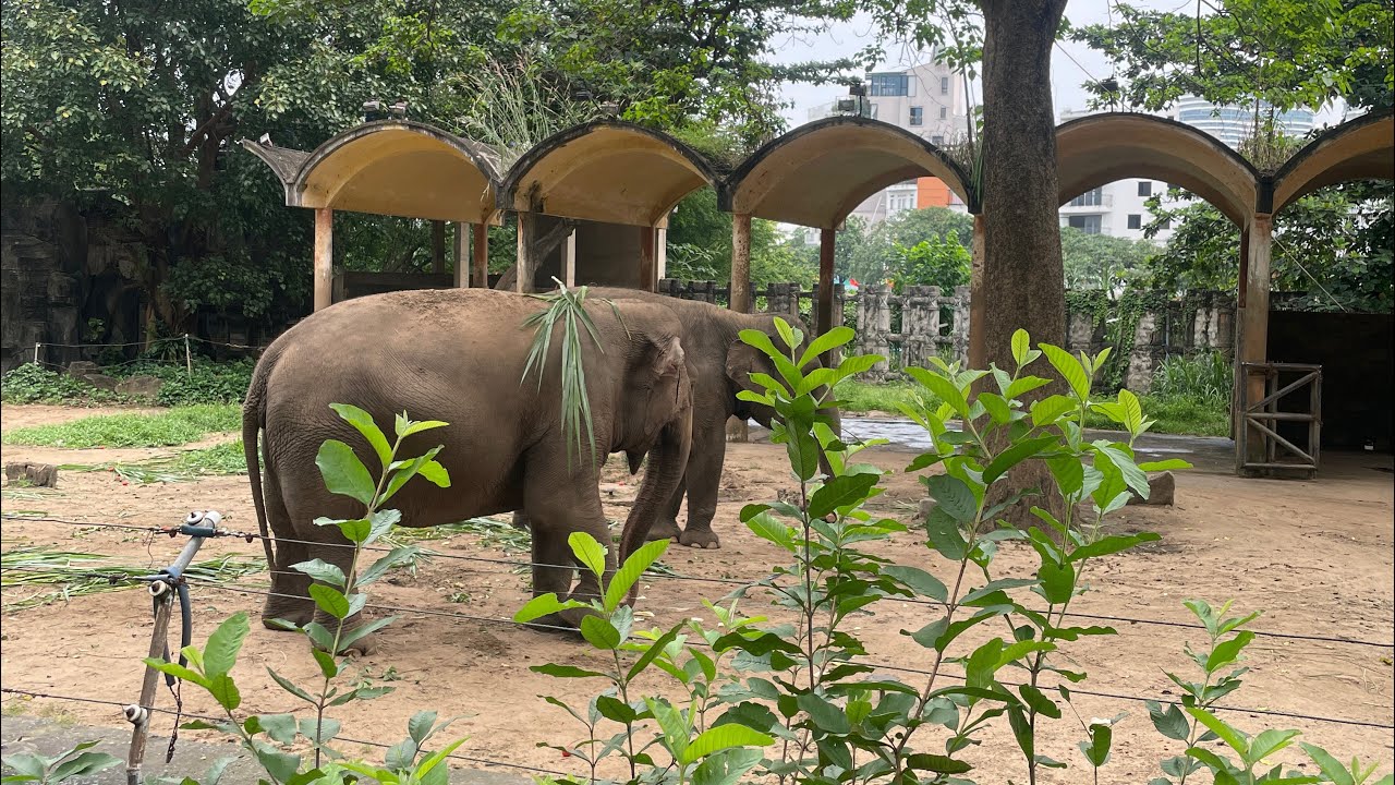 The zoo 🐾 ~ Đi thăm những người bạn 🌳👒 