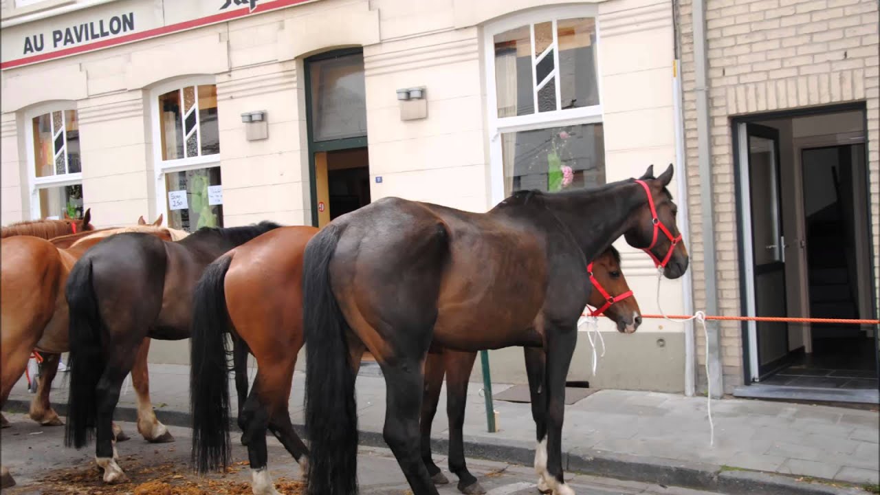 Paardenmarkt te Torhout, West-Vlaanderen