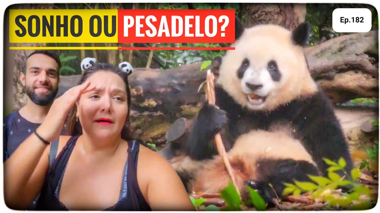 COMO é ver os PANDAS na CHINA?