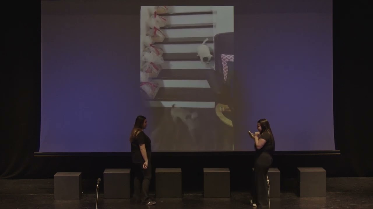 03 | לקט סרטוני כלבים (י