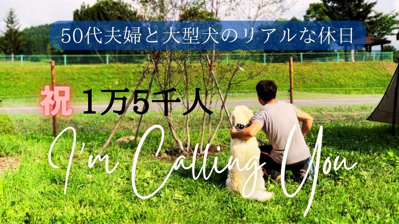 弱ったあの子を迎えて幸せにする｜50代夫婦のゴールデンレトリバーがいる暮らし
