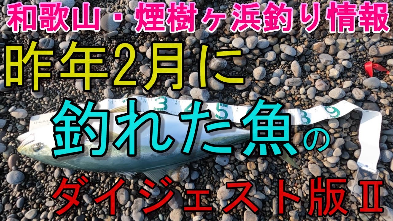 02-04　煙樹ヶ浜釣り情報・特別編【第1510回】昨年2月に釣れた魚のダイジェスト版Ⅱ ＃遠投カゴ釣り #和歌山・釣り #煙樹ヶ浜