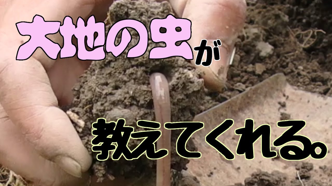 大地のことはミミズに聴こう【ぐるりの暮らし】142　ミミズコンポストや畑のミミズ。彼らと仲よくなれば、栽培も自然の仕組みも教えてくれます。