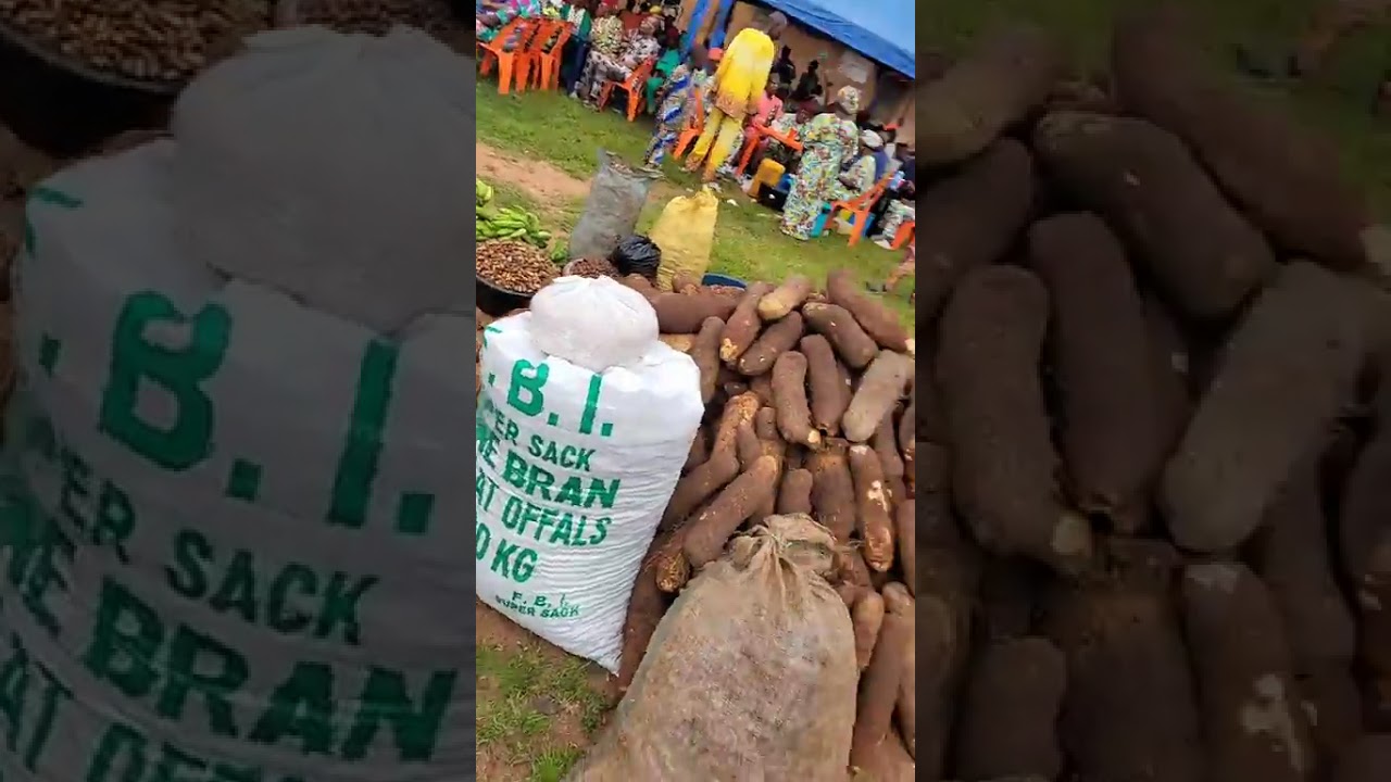 Atogwe Henry live on stage, ayogwiri new yam festival #etsako #afemai #edo #atogwehenry